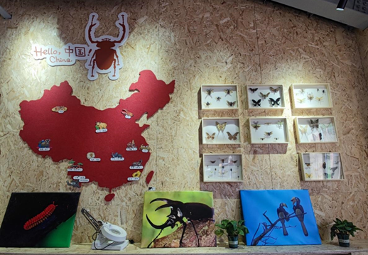 1656156816866275.png image.png