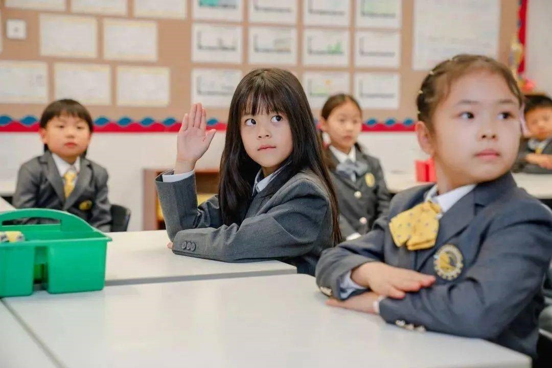 1675152224800833.jpg 1675152224800833.jpg