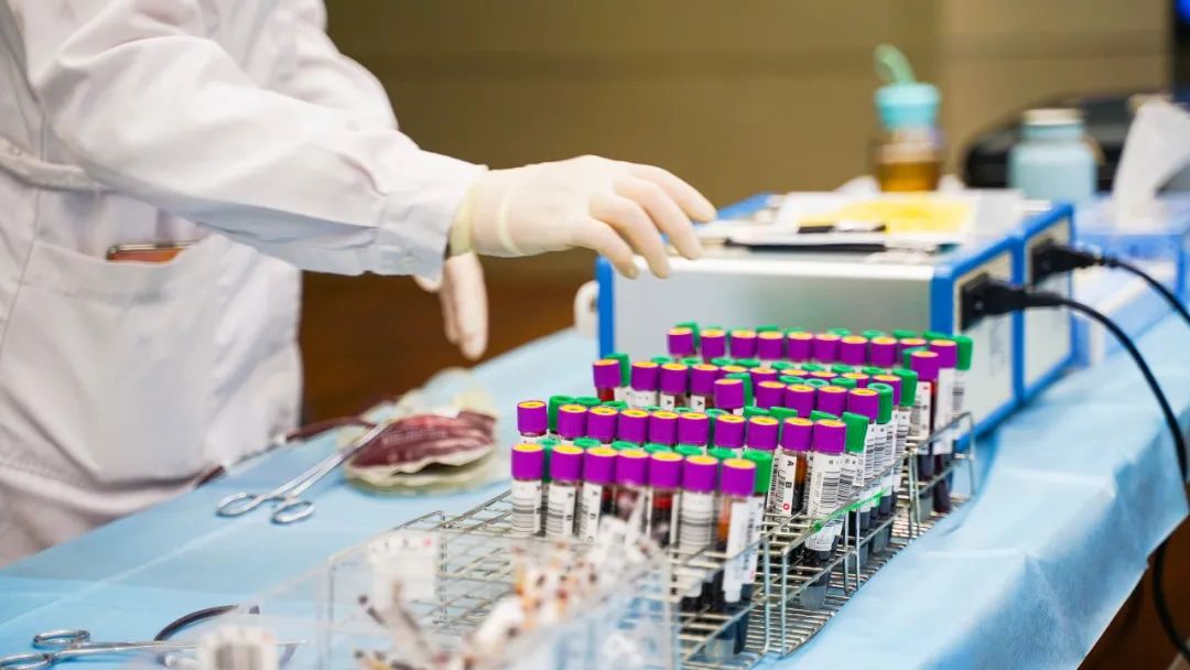 1676616450746033.jpg 1676616450746033.jpg